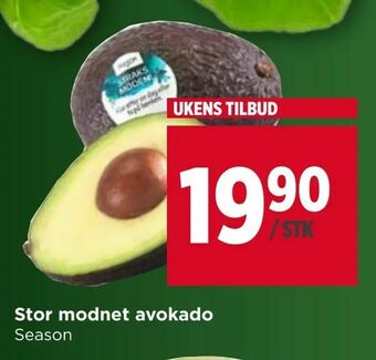 Meny Stor modnet avokado tilbud