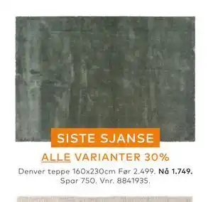 Skeidar Denver teppe tilbud