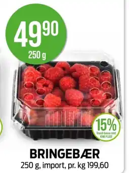Kiwi BRINGEBÆR tilbud