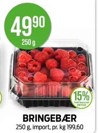 Kiwi BRINGEBÆR tilbud