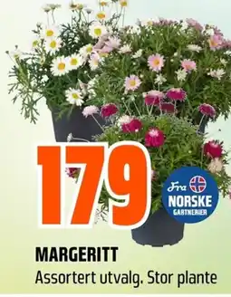Coop Obs MARGERITT tilbud