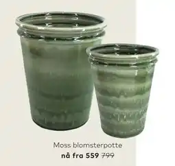Skeidar Moss blomsterpotte tilbud