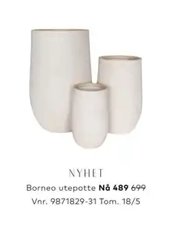 Skeidar Borneo utepotte tilbud