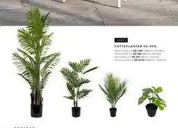 Skeidar POTTEPLANTER 30-50% tilbud