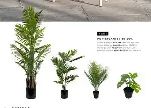 Skeidar POTTEPLANTER 30-50% tilbud