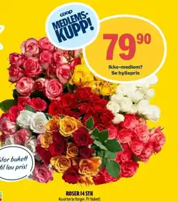 Coop Prix ROSER 14 STK tilbud