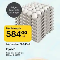 Storcash Egg m/l tilbud