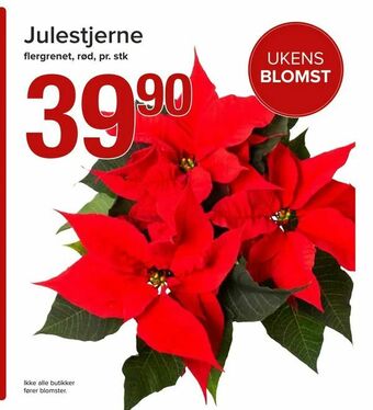 Spar Julestjerne tilbud