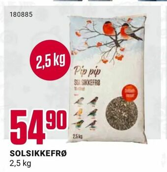 Europris Solsikkefrø tilbud