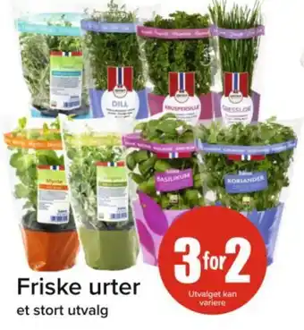 Spar Friske urter tilbud