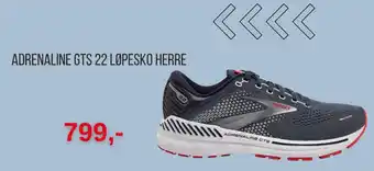Intersport INTERSPORT Adrenaline gts 22 løpesko herre tilbud