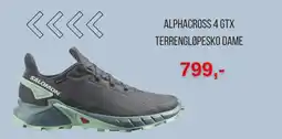 Intersport Alphacross 4 gtx terrengløpesko dame tilbud