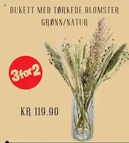 Plantasjen Bukett med tørkede blomster grønn/natur tilbud