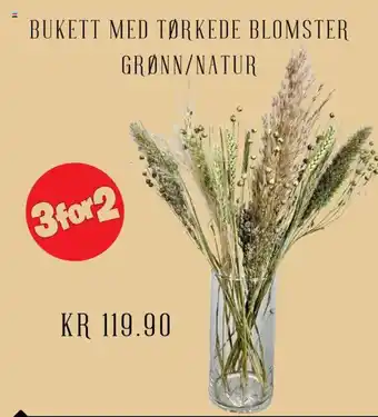 Plantasjen Bukett med tørkede blomster grønn/natur tilbud
