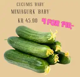 Plantasjen Cucumis baby' miniagurk baby' tilbud