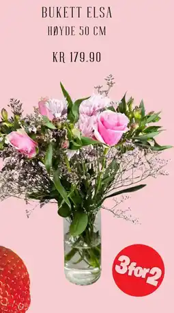 Plantasjen Bukett elsa høyde 50 cm tilbud