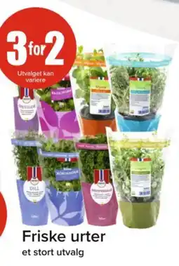 Spar Friske urter tilbud
