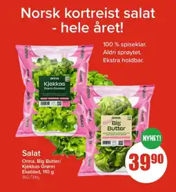Spar ONNA Salat tilbud