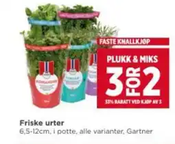 Meny Friske urter tilbud