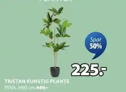 JYSK TRISTAN KUNSTIG PLANTE tilbud