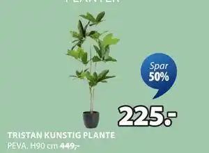 JYSK TRISTAN KUNSTIG PLANTE tilbud
