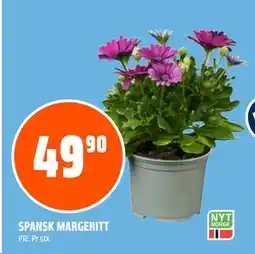Coop Obs SPANSK MARGERITT tilbud
