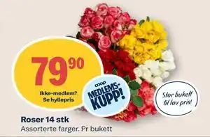 Coop Mega Roser 14 stk tilbud