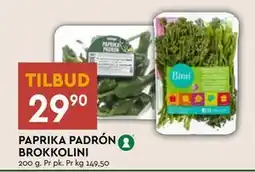 Coop Mega PAPRIKA PADRÓN BROKKOLINI tilbud