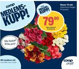 Coop Extra Roser 14 stk tilbud