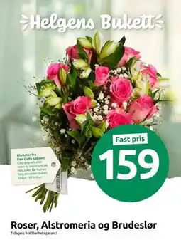 Joker Roser, Alstromeria og Brudeslør tilbud