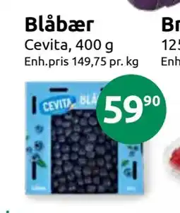 Joker Blåbær tilbud