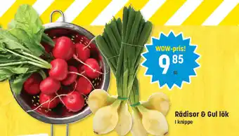 Eurocash Rädisor & Gul lök I knippe tilbud