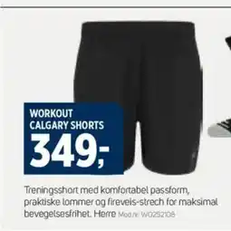 Sport 1 WORKOUT CALGARY SHORTS tilbud