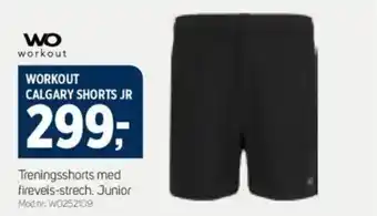 Sport 1 WORKOUT CALGARY SHORTS JR tilbud