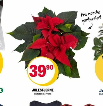 Coop Extra Julestjerne tilbud