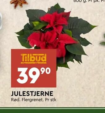 Coop Mega Julestjerne tilbud