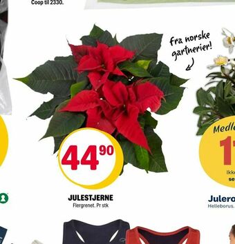 Coop Extra Julestjerne tilbud