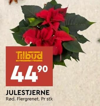 Coop Mega Julestjerne tilbud