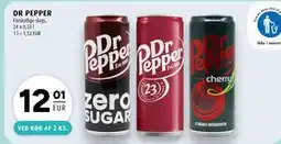 Scandinavian Park DR PEPPER tilbud