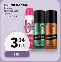 Scandinavian Park BRUNO BANANI tilbud