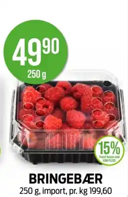 Kiwi BRINGEBÆR tilbud
