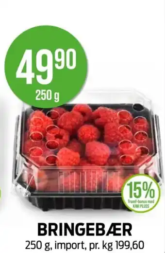 Kiwi BRINGEBÆR tilbud