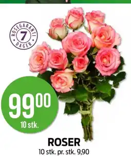 Kiwi ROSER tilbud