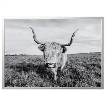 IKEA BjÖrksta Bilde med ramme, nysgjerrig ku/aluminiumsfarge, 140x100 cm tilbud