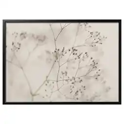 IKEA BjÖrksta Bilde med ramme, blomster - nærbilde/svart, 140x100 cm tilbud