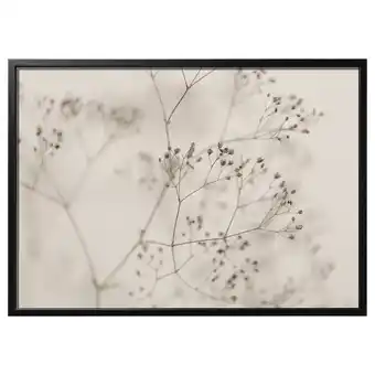 IKEA BjÖrksta Bilde med ramme, blomster - nærbilde/svart, 140x100 cm tilbud