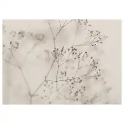 IKEA BjÖrksta Bilde, blomster - nærbilde, 140x100 cm tilbud
