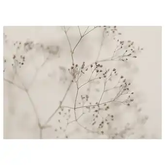 IKEA BjÖrksta Bilde, blomster - nærbilde, 140x100 cm tilbud