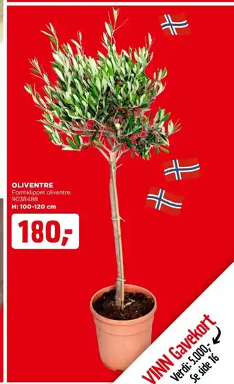 jem & fix OLIVENTRE tilbud