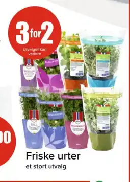 Spar Friske urter et stort utvalg tilbud